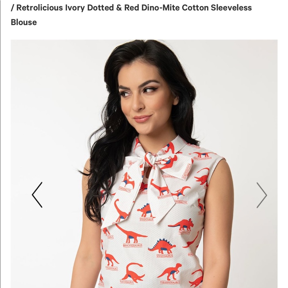 Cute dinosaur blouse